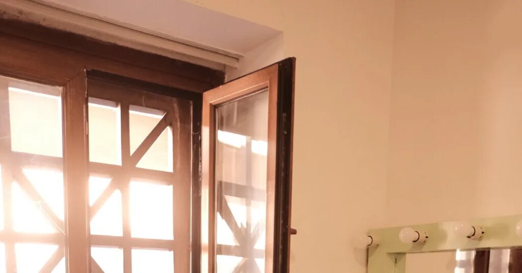 Jailed for a Joke, a Turkish Comic Delivers a Passionate Defense in Court