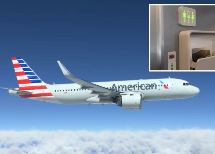 Nightmare American Airlines flight forced to divert to JFK Airport after 6 restrooms fail midair
