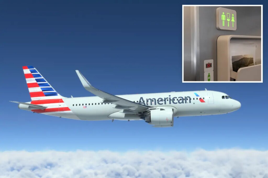 Nightmare American Airlines flight forced to divert to JFK Airport after 6 restrooms fail midair