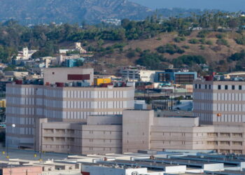 10 deaths at L.A.’s Twin Towers jail: One man’s family alleges staff failed to provide care