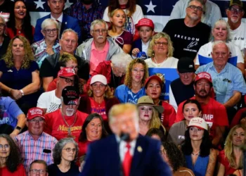 Trump pollster delivers brutal verdict as president tanks his allies: ‘Kiss of death’