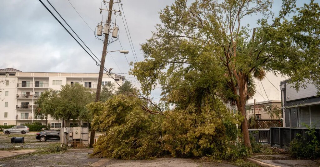 Two Killed as Hurricane Isaias Topples Trees Onto Homes