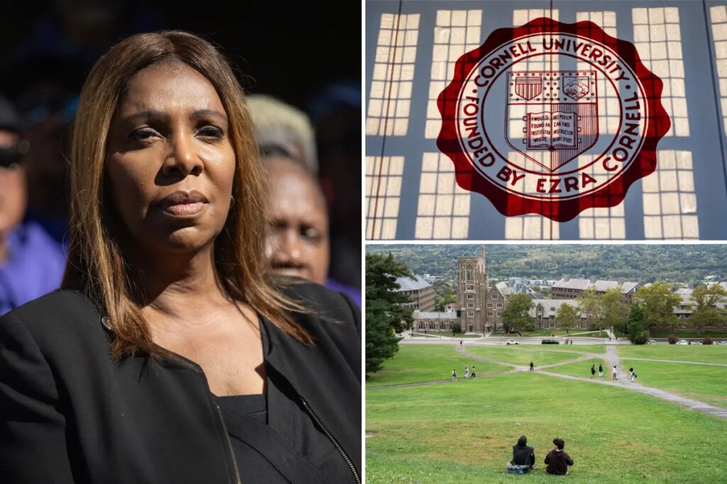 NY AG Letitia James hit with bar complaint for ‘flagrant violation’ in ‘Cornell 7’ case: ‘She must recuse herself’
