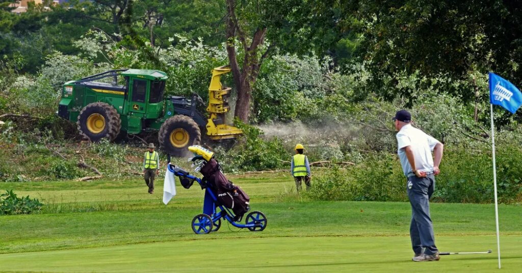 More Than 500 Trees to Be Cut Down at D.C. Golf Club That Trump Wants to Redo