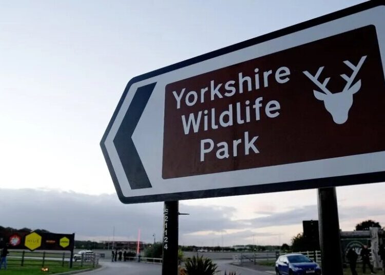 Man Dies After Entering Tiger Enclosure at Wildlife Park in England