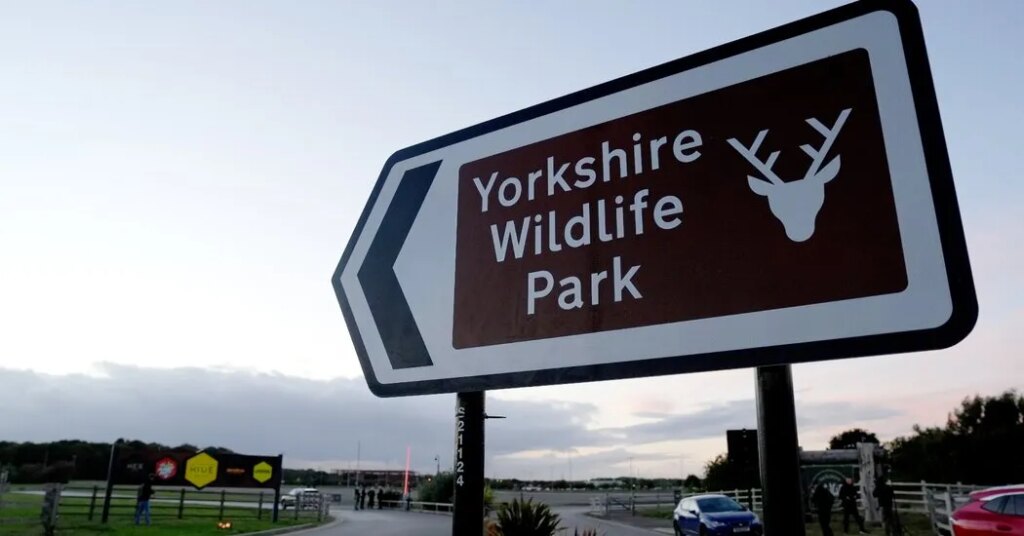 Man Dies After Entering Tiger Enclosure at Wildlife Park in England