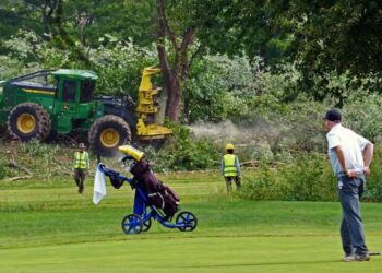 More Than 500 Trees to Be Cut Down at D.C. Golf Course That Trump Wants to Redo
