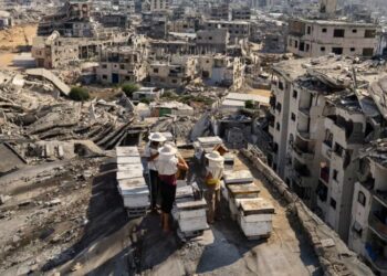Wringing Hope From the Rubble of Gaza