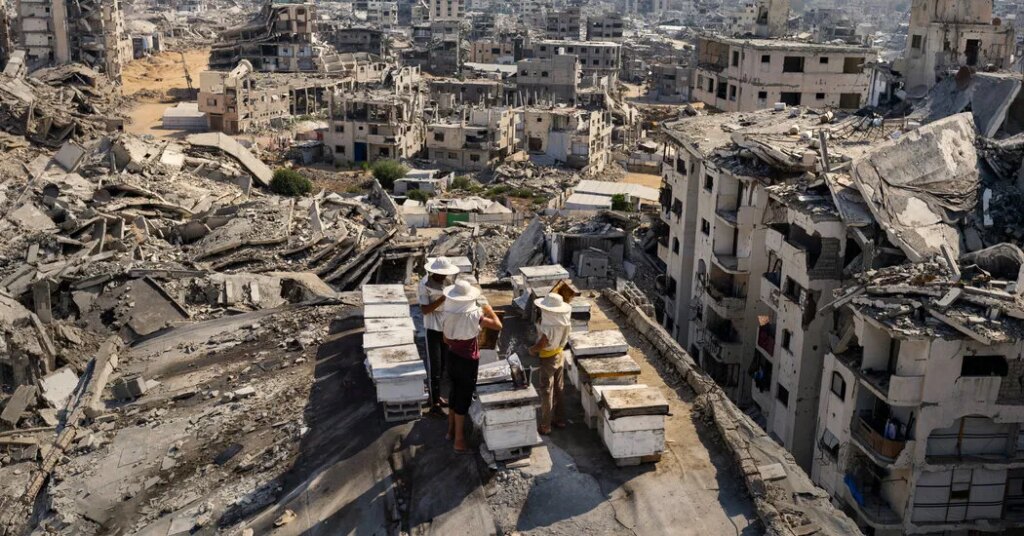 Wringing Hope From the Rubble of Gaza