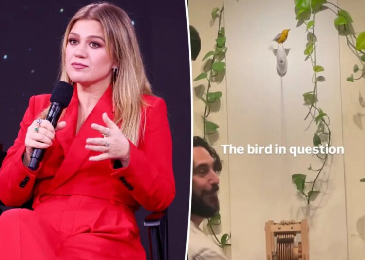 Kelly Clarkson claps back at Brooklyn store’s apology: ‘You’re not only rude, you’re also a liar’