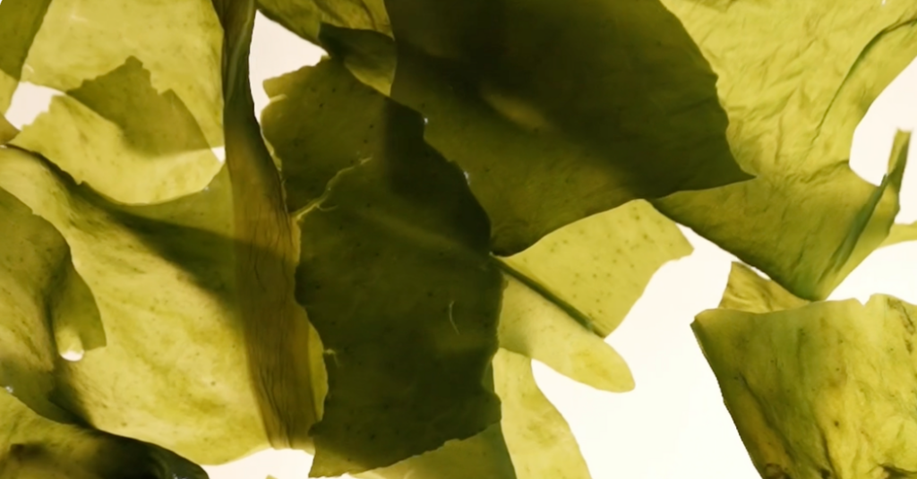 How Healthy Is Seaweed?