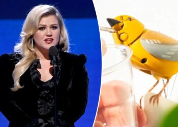 Brooklyn store Art of Play defends viral ‘misunderstanding’ with Kelly Clarkson after being branded a ‘liar’