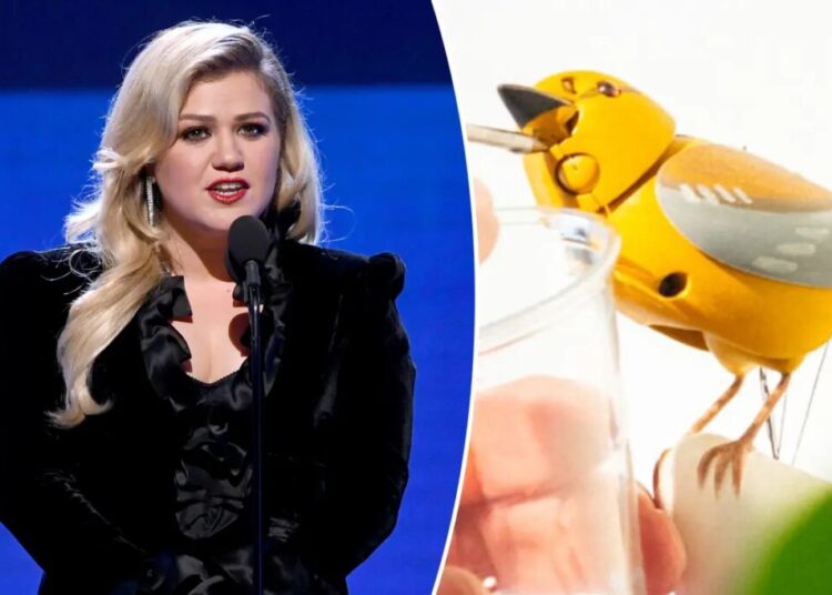 Brooklyn store Art of Play defends viral ‘misunderstanding’ with Kelly Clarkson after being branded a ‘liar’