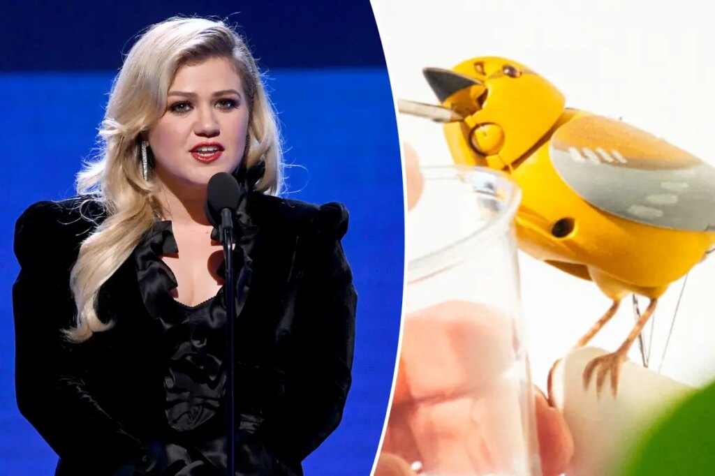 Brooklyn store Art of Play defends viral ‘misunderstanding’ with Kelly Clarkson after being branded a ‘liar’