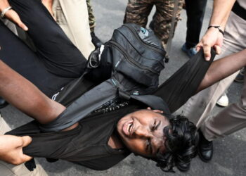 India’s ‘Cockroach’ protest movement leaders freed from detention, vow to continue demonstrations