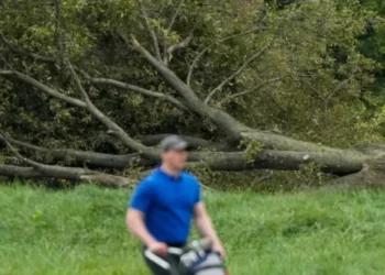 Judge slams brakes on Trump golf course tree-cutting and demands to know who gave order