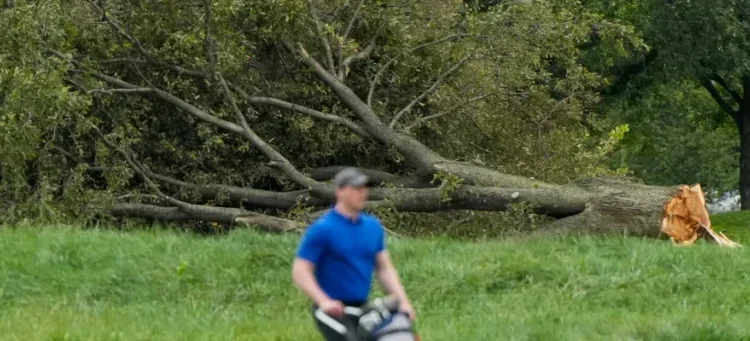 Judge slams brakes on Trump golf course tree-cutting and demands to know who gave order