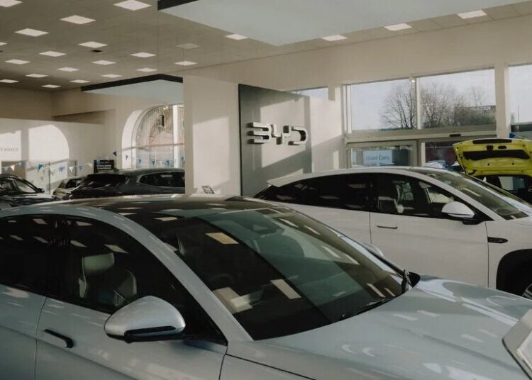 Europeans Have a Love-Hate Relationship With Chinese Cars