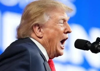‘I want him here!’ Judge hauls Trump official into courtroom as hearing spirals