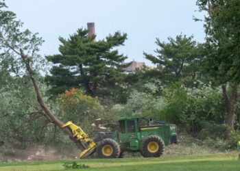 Judge Orders Trump Administration to Answer for Tree Removals at D.C. Golf Course