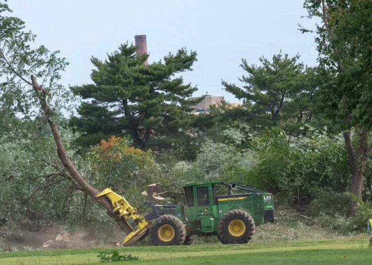 Judge Orders Trump Administration to Answer for Tree Removals at D.C. Golf Course