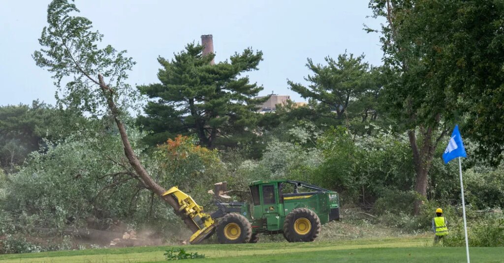 Judge Orders Trump Administration to Answer for Tree Removals at D.C. Golf Course