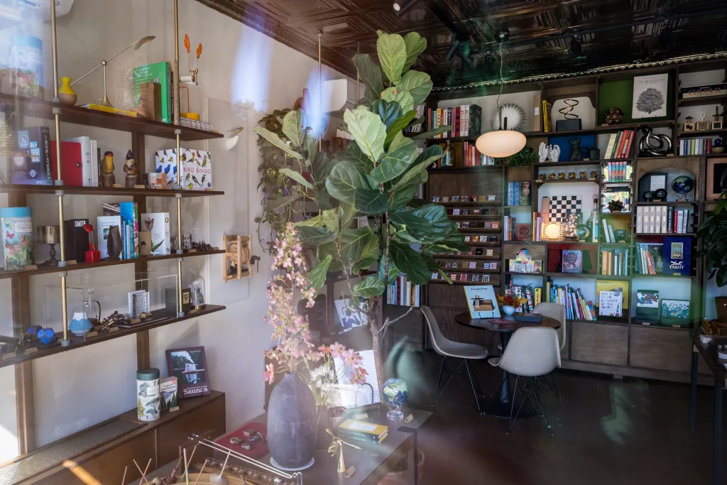 Interior view of the Art of Play store in Brooklyn, showing shelves filled with books and games, a large potted plant, and a seating area.