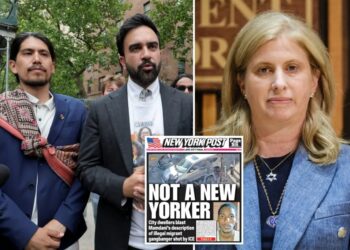 DSA comrades increase pressure on Mamdani to fire NYPD commissioner after ICE shooting