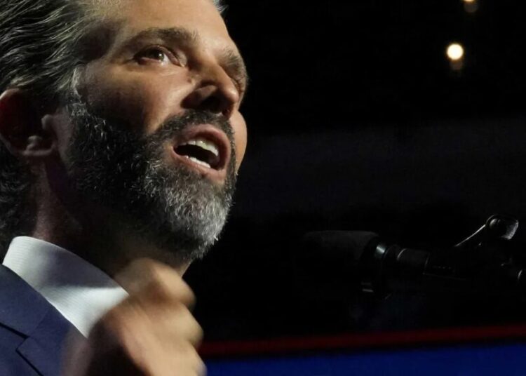 Trump’s FCC chair orders investigation into ‘hit job’ on Don Jr.: report