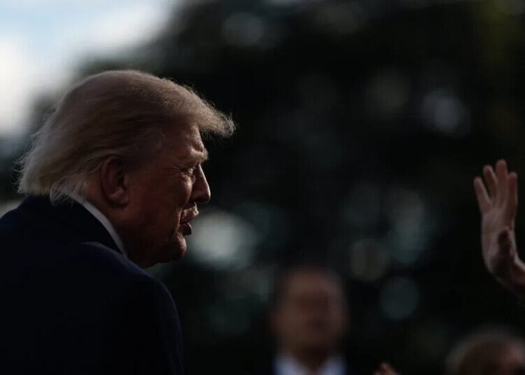 Trump Says He Is ‘Looking at’ Firing Kimberly Guilfoyle