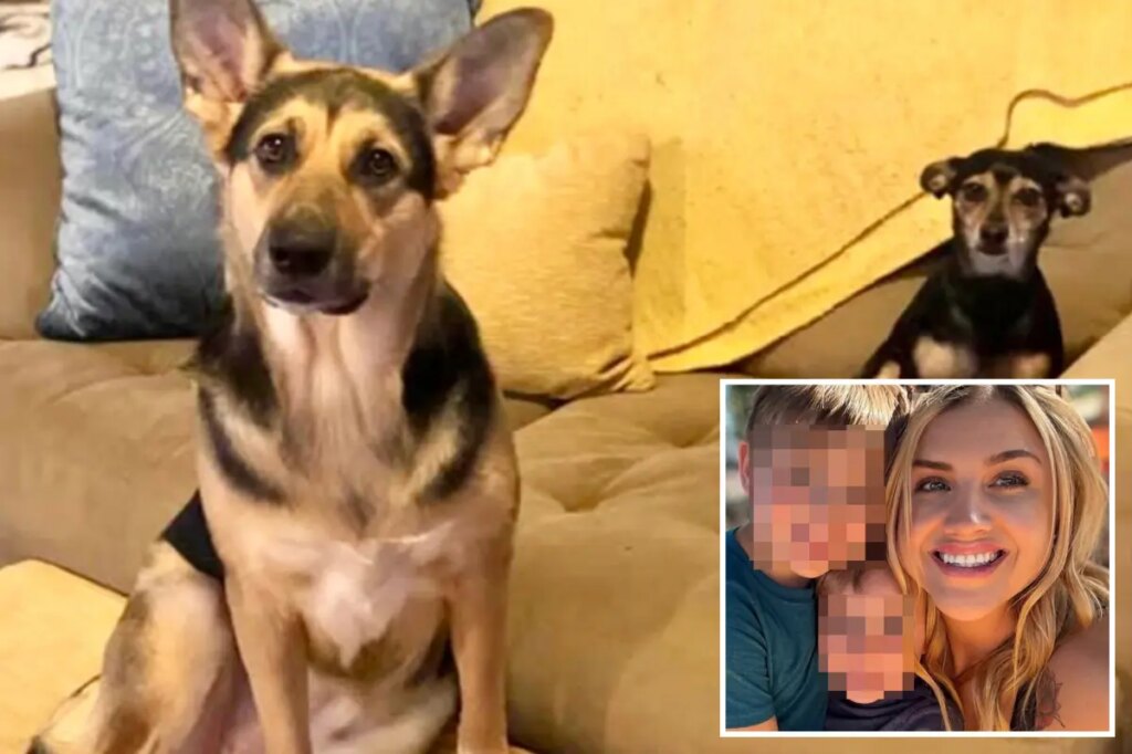 Hungry blind dog sparks deadly house fire, killing itself and canine sibling