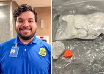 Bizarre X-ray scan leads TSA officers to flight passenger’s illegal stash