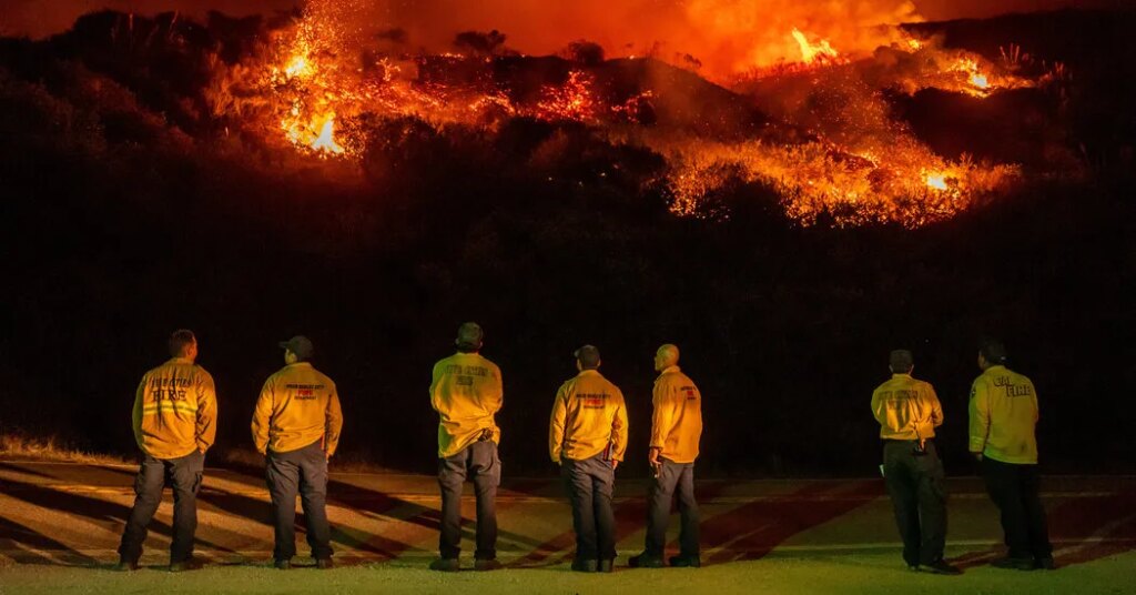 Fewer Buyers for Timber on Federal Land Raises Risk of Wildfires