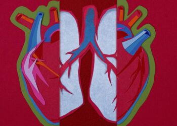 Normalcy Bias Prevented Me from Recognizing My Daughter’s Heart Failure