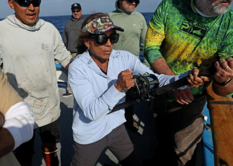 El Niño shifts exotic sea creatures to Southern California’s coast. Here’s what anglers are seeing
