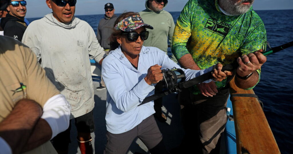 El Niño shifts exotic sea creatures to Southern California’s coast. Here’s what anglers are seeing