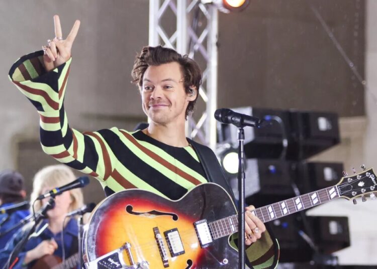 Fox & Friends loses it over Harry Styles’ tribute to man shot by ICE: ‘Pro-machete people’
