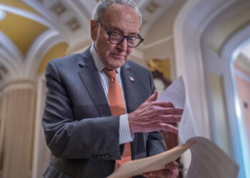Chuck Schumer has broad support from his caucus, but midterms could decide his future as leader