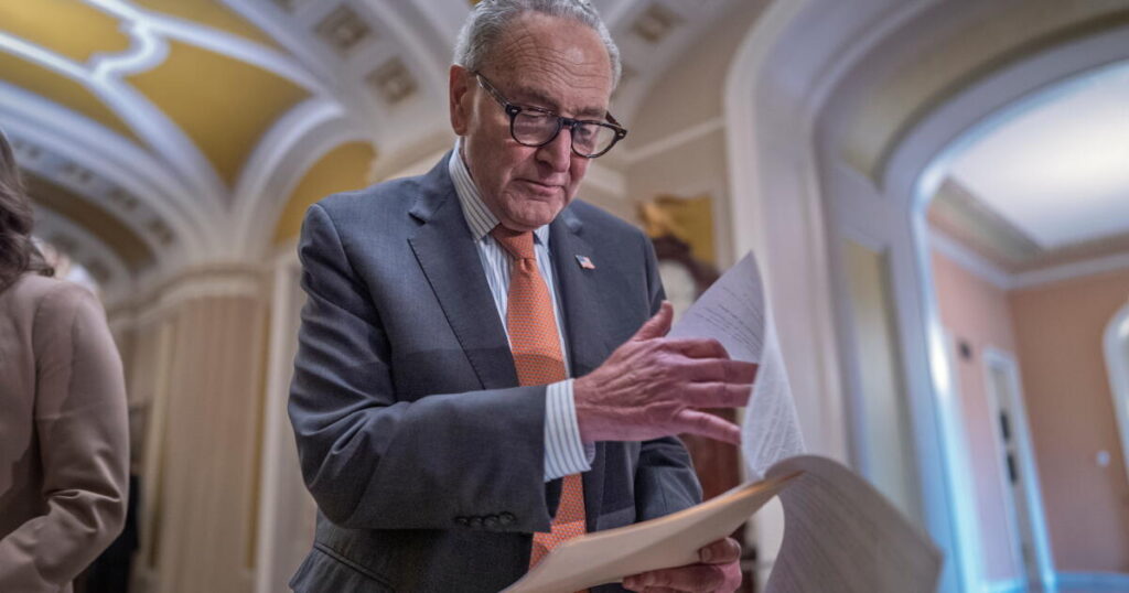 Chuck Schumer has broad support from his caucus, but midterms could decide his future as leader