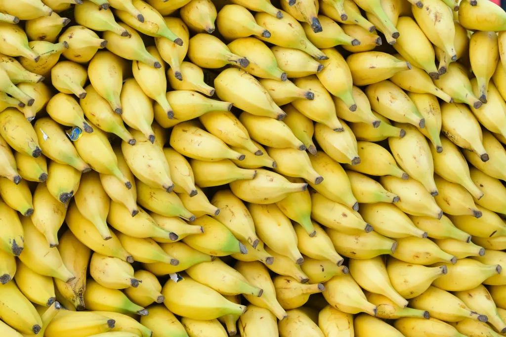 A large stack of bananas stacked tightly together.