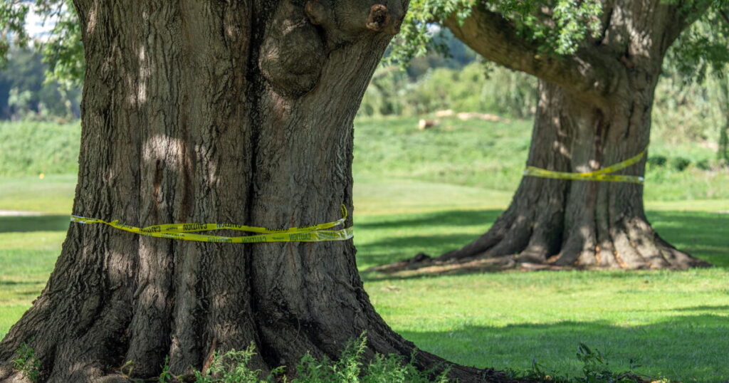 Federal judge orders Trump administration to halt work on historic D.C. golf course until Oct. 26
