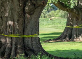 Federal judge orders Trump administration to halt work on historic D.C. golf course until Oct. 26