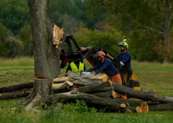 Judge smacks Trump with new ban on golf course tree work after apparent defiance
