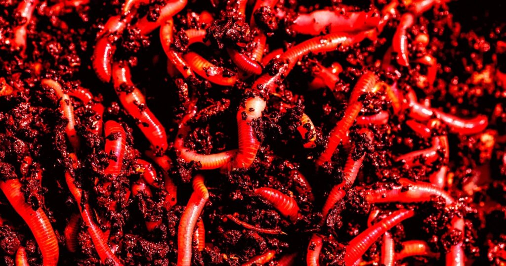 Anthropic Warns “AI Worms” Will Infect Your Smart Home Devices and Use Them to Self-Replicate Beyond Control