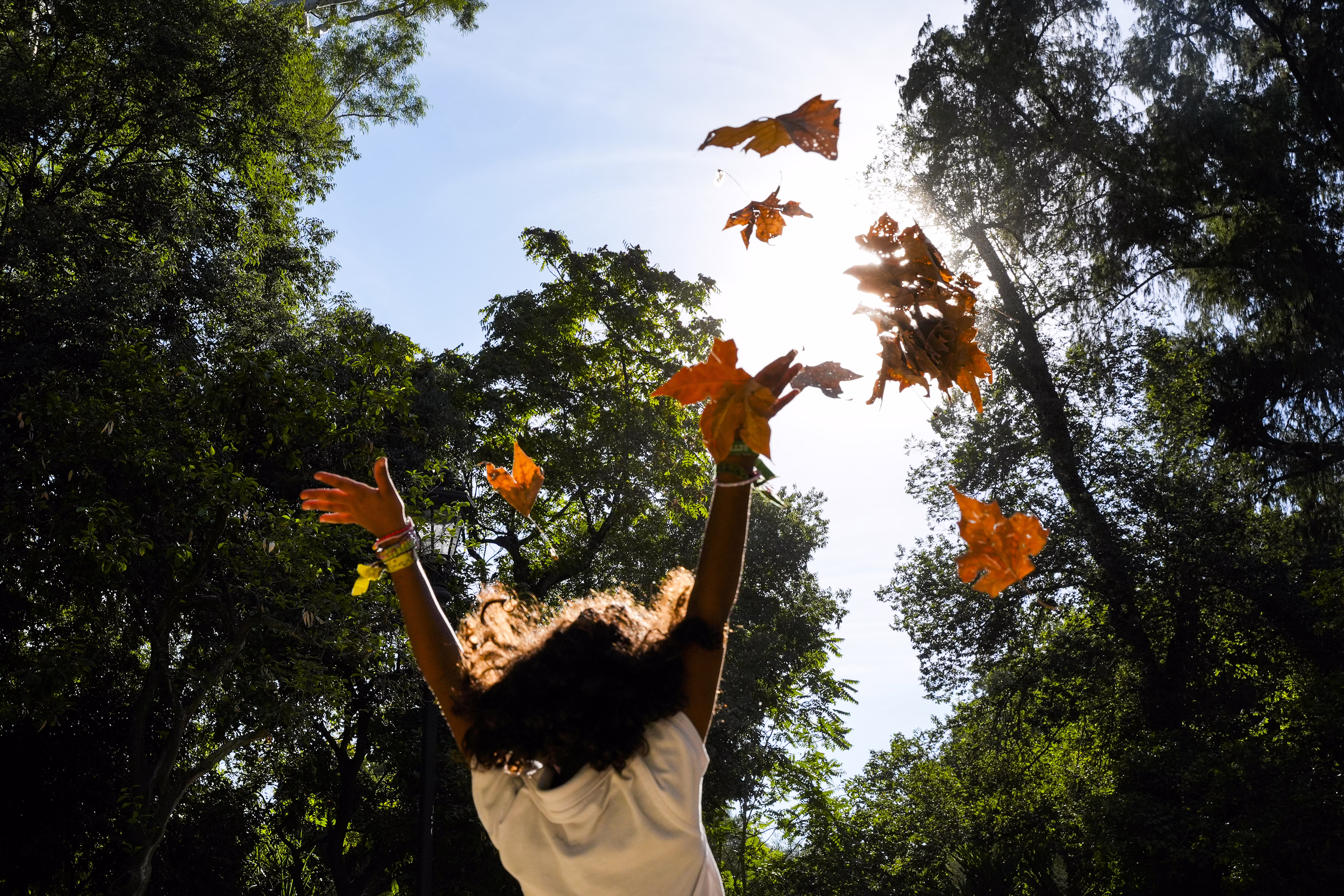 A person tosses autumn leaves into the air.