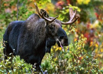 Photos: Fall Is in the Air