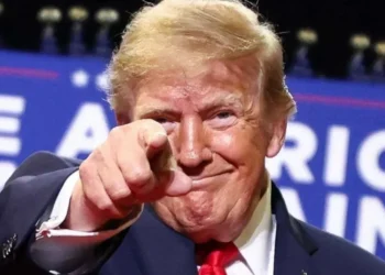 Disgust after Trump posts brutal videos of animal attacks: ‘The president is a sick man’