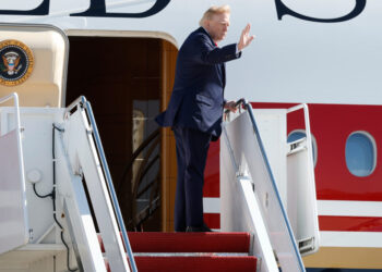 Trump posts video of man being attacked by tiger