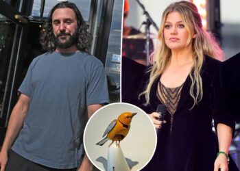 Brooklyn store owner blasts Kelly Clarkson’s ‘reprehensible abuse of power’ after she ‘lit the fuse’ with social media rant