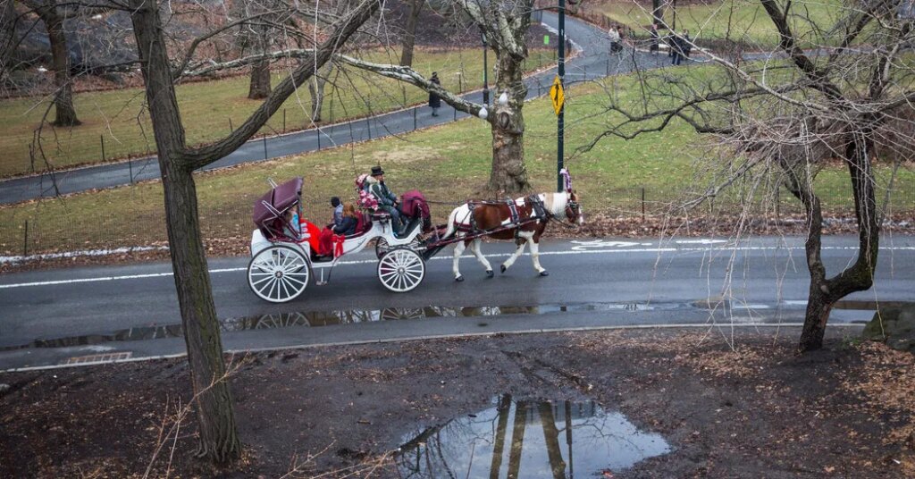 City Council Speaker and Mamdani Agree on Horse-Drawn Carriage Ban